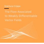 The Flow Associated to Weakly Differentiable Vector Fields-0