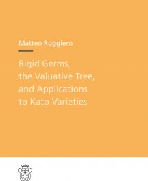 Rigid Germs, the Valuative Tree, and Applications to Kato Varieties-0
